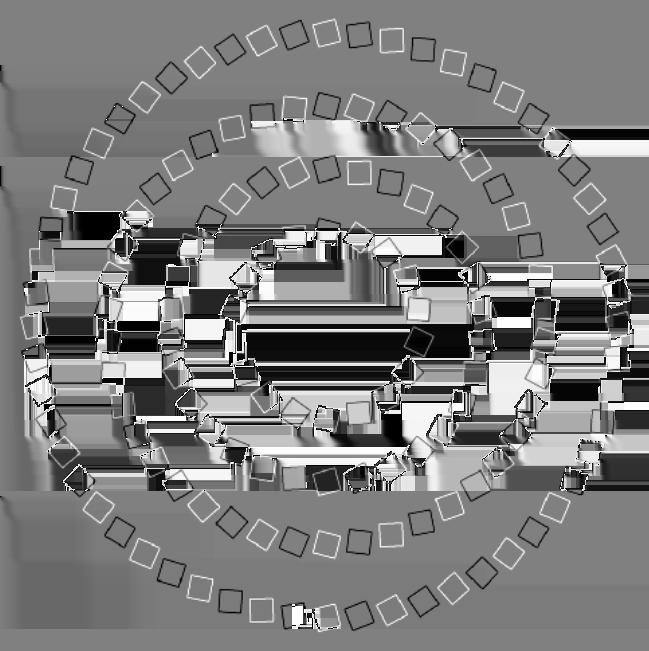 Adversarial Examples in the Human Brain Eşmerkezli