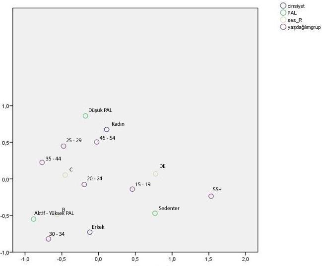 Sosyo-Ekonomik Durum, Cinsiyet ve Yaş Gruplarına Göre PAL Dağılımı DE SES grubuna dâhil olanların ve 15-19 ve 55+ yaş grubuna dâhil olanların sedanter olmaya daha yakın oldukları görülüyor.