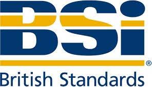 Ancak yayınlanan bu standartlar BS 8800'ü temel almalarına rağmen birbirlerinden içerik ve uygulama bakımından farklılıklar göstermektedir.