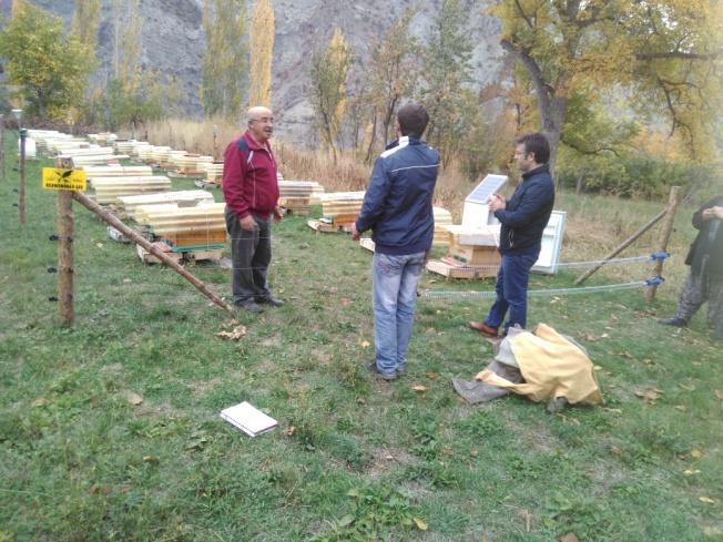 Kılıçkaya köyünde projeden desteklenen ve 2015 yılında tesis edilen bir dönümlük (40 adet şeftali dikilmiş) meyve bahçesi gezildi.