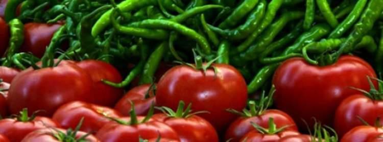 Antalya Türkiye toplam domates üretiminin %20 sini