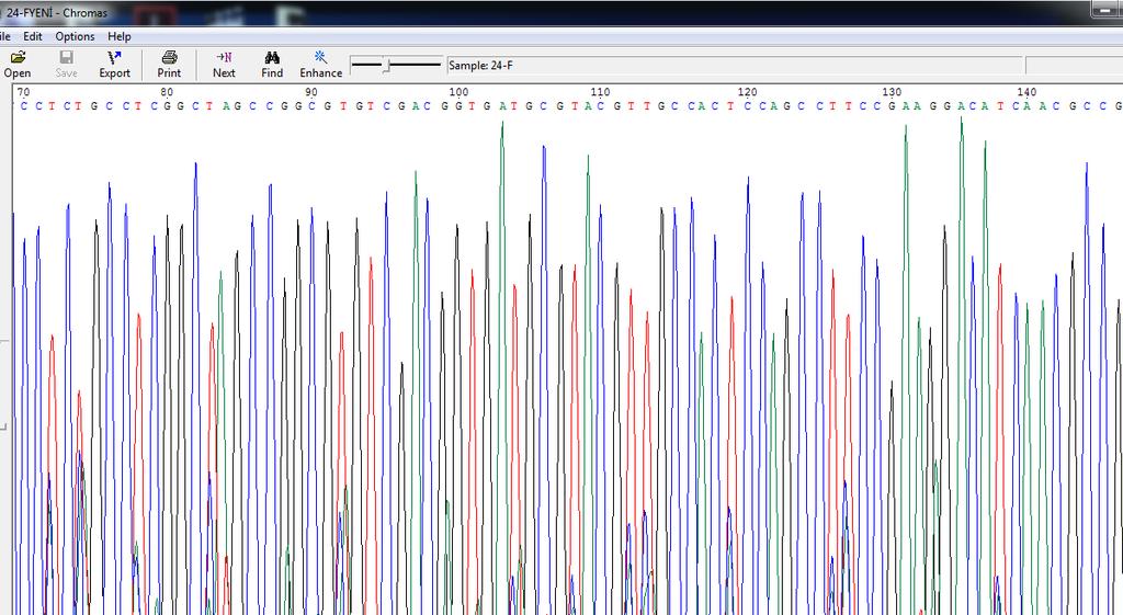 Medical School ABI Prism 3130 Genetic