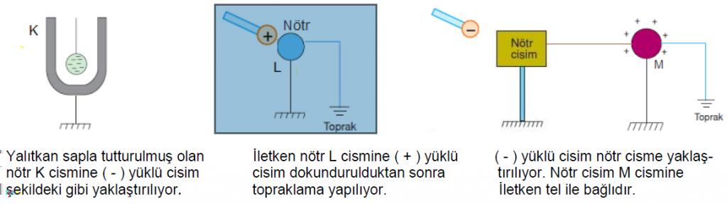 Yukarıda fotosentez ve solunuma ait verilen bilgilerden hangi maddelerin yerleri değiştirilirse tablo doğru olur? A) 2 ve 4 B) 3 ve 5 C) 3 ve 6 D) 1 ve 6 20.