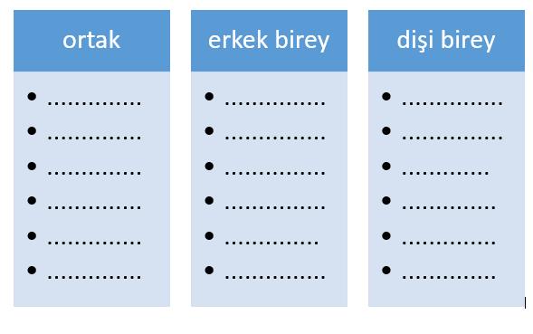 Ergenlik döneminde bireylerde görülen değişimlere örnekler yazınız. C.