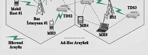 Gelişmekte olan bir