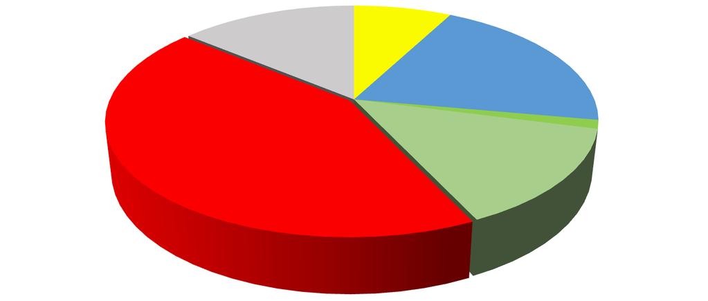 Aksam ve Parçalar 14% Enjeksiyon Mak. 8% Ekstrüzyon Mak. 20% Presler ve Diğer Mak. 43%