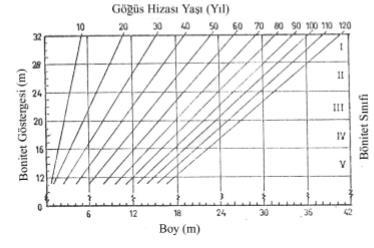 3-Kombine Yöntem Ağaçların gövde analizleri yardımıyla