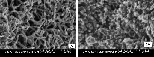 2.ÖNCEKİ ÇALIŞMALAR Şekil 2.1.Çok duvarlı karbon nanotüplerin bilyeli öğütme işlemi öncesi sonrası görüntüleri(wang ve ark.,2009) Şekil 2.2. 70 o C de 96 saat fırında kaldıktan sonra SEM görüntüleri (Wang ve ark.