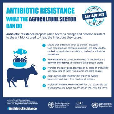 4 Antibiyotik kullanırken her zaman doktorun tavsiyesi takip edilmeli, Hiçbir zaman başkalarının antibiyotikleri kullanılmamalı ve antibiyotikler başkalarına verilmemeli, Enfeksiyonlar; ellerin