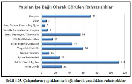 Çalışanları rahatsız eden işyerinin fizikî koşulları Çalışanlara göre; dokuma makineleri, halı taşıma arabaları ve