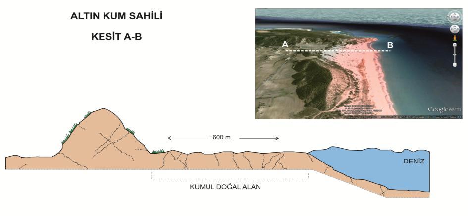 7.2.1.2 Fasıl 59 Sahiller Yasası nda 100 metrelik alan olarak tanımlanan sahiller, doğal alanlarının genişliği ortalama 30 ile 600 metre arasında değişen farklılıklar göstermektedir.