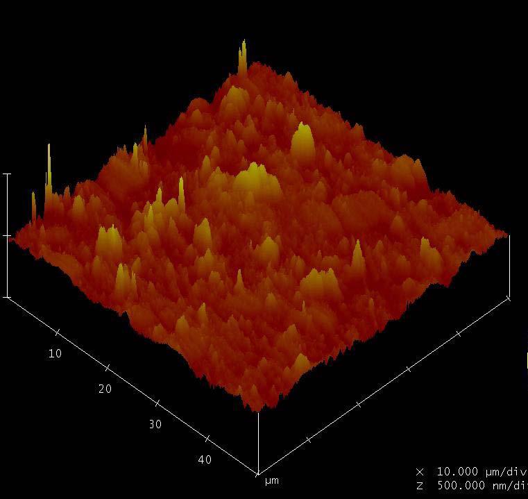 testi öncesi AFM görüntüsü Resim