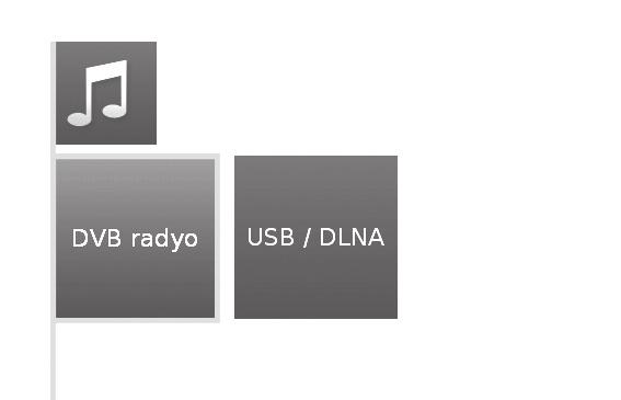 TV menüsü seçenekleri Ses/Radyo işlevi Yerel sunucunuzdan ya da USB depolama ortamından, ayrıca DVB ve Internet radyodan gelen müzik dosyaları Ses/Radyo bölümünde bulunabilir.