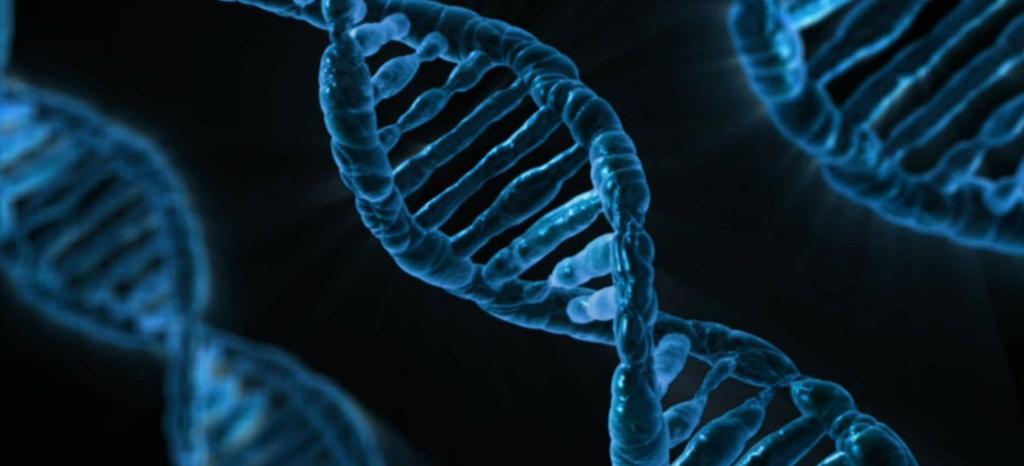 DİJİTALLEŞME VE EĞİTİMİN DEĞİŞEN DNA YAPISI Dijitalleşme ile rekabette kurallar sürekli değişiyor. Mühendislik eğitimi dijitalleşmenin gerekliliklerine göre yeniden oluşturulmalı.