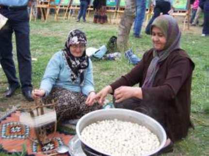 2.3.4 Köprü Bazı yörelerde kök olarak bilinmektedir. Oyanın başlangıç bölümüdür. Zürefa üzerine işlenen üçgen şeklinde, kare ilmekli ara ya da yardımcı motif. 2.3.5 Boru Bazı oyalardaki kökle esas oyanın arasında kalan boru şeklindeki bölüm.