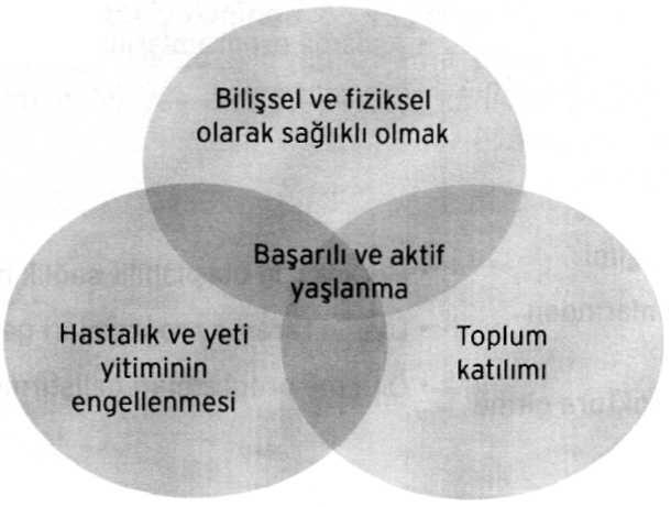 ve trafik kazalarına karşı eğitim ve danışmanlık verilmesi öncelenmelidir. Şekil 1 de sunulan "Sağlıklı Yaşlanma Modeli" bu yöntem için bir örnek olabilir.