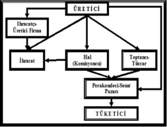 PAZARLAMA KANALINDA KİMLER VARDIR? Ürünlere göre değişmekle beraber, pazarlama kanalında ürün çok sayıda el değiştirerek tüketicinin sofrasına ulaşmaktadır.