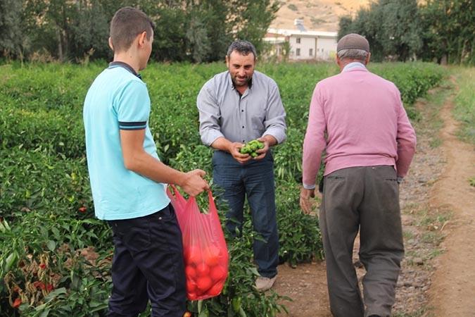 PAZARLAMA KANALINDA KİMLER VARDIR? Pazarlama faaliyetlerinin de bir maliyeti vardır ve bu maliyetin de çiftçi tarafından karşılanması gerekmez.