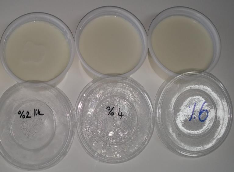 Resim.3.1.Farklı oranlarda bal ilaveli probiyotik yoğurtların görünümü 3.2.