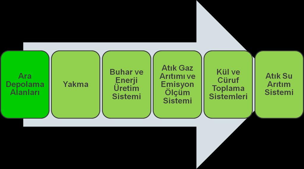 TESİS ANA