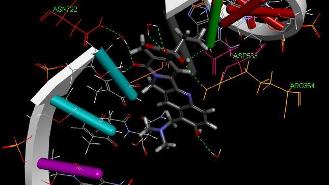 ve Şekil 4.9 da protein ilaç etkileşimleri görülmektedir. Şekil 4.8.