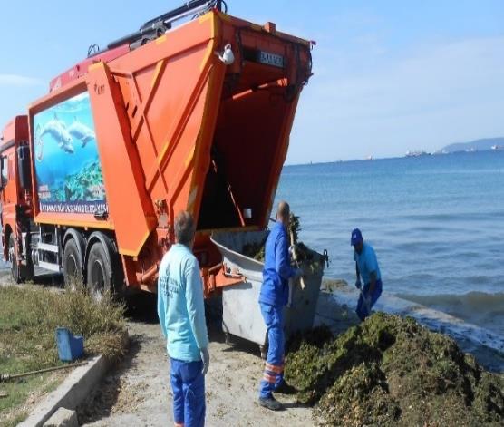 Vinçli atık toplama aracı deniz yüzeyi temizlik