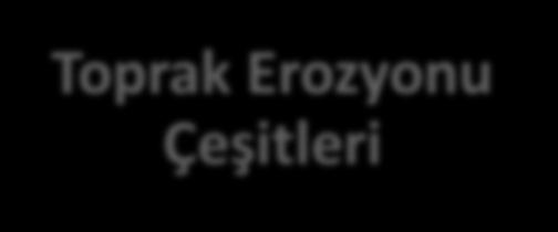 Su Erozyonu Eroziv Etmenlere Göre Rüzgar Erozyonu Toprak Erozyonu Çeşitleri Diğer Erozyon