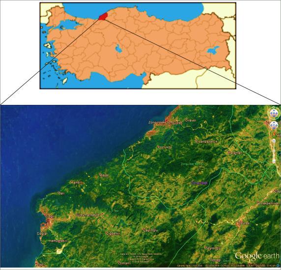 Zonguldak Bölgesindeki Kayaçların Kıyı Koruma Yapılarında Kullanılabilirliğinin Araştırılması 1.