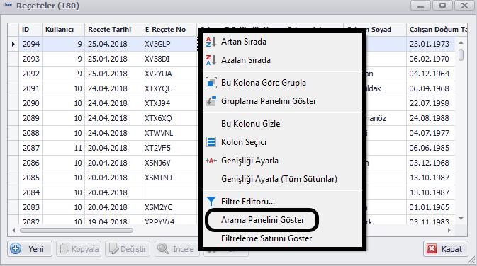 Açılan menüden Arama Panelini Göster başlığına tıkladığınızda sayfanın üst kısmında panel çıkacaktır.