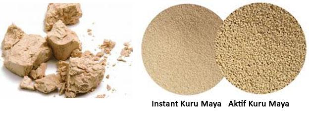 2.2. Mayalama ve Bekletme Yöntemleri En iyi lezzetin elde edilmesi Maya, Saccharomyces cerevisiae, adı verilen, hamurda bulunan şekeri kullanarak fermantasyona yol açan ve ekmek ile unlu mamullerin