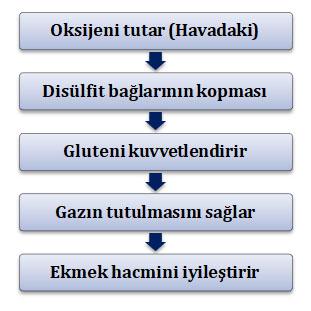 Bölüm 4 Hamur İşleme Rotası Teknolojik Akışın İlk Basamakları Un, su ve maya ya da diğer malzemelerin (Bölüm 2.