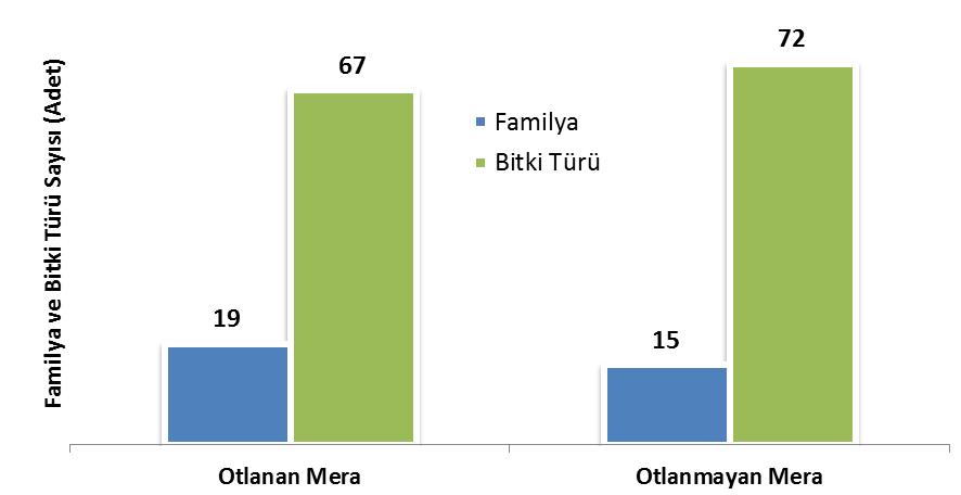 familyaları sadece ONM de rastlanılmış olup diğer familya bitkileri grubunda yer alan istilacı bitkilerdir. Şekil 5.