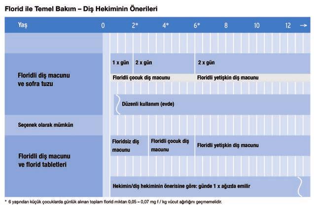 Quelle: S2k-Leitlinie Fluoridierungsmaßnahmen zur Kariesprophylaxe 2013, AWMF-Registernummer 083-001, zzq im April 2013 Florid Koruması Florid, demir ve iyot gibi yaşamsal önemi olan eser