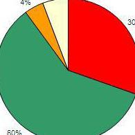 fazla Portföyün en az %80 i Ters Repo dahil Devlet İç Senetlerine yatırım yapacaktır %35 %54 320.363.