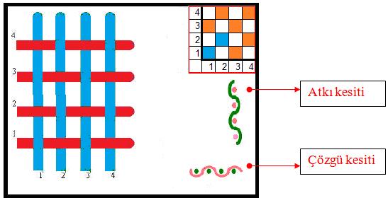 1.7. Çözgü ve Atkı Kesitinin Çizimi Ġstenilen çözgü ve atkı sayısına göre örgü raporu enine ve boyuna yönde tekrar edilir. Örgü raporunun tekrar edilen kısmı farklı renkle çizilir. ġekil 1.