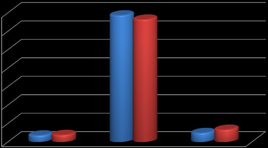 Diğer Gelirler 05 Other Income 2013 yılının ilk altı ayında 2.444.384 bütçe geliri gerçekleşirken, 2014 yılının ilk altı ayında bütçe geliri 3.322.678 olarak gerçekleşmiştir.