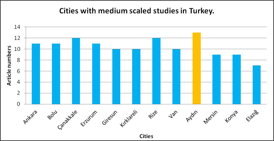 . Figure 3 shows some medium scaled ecotourism studies per cities.