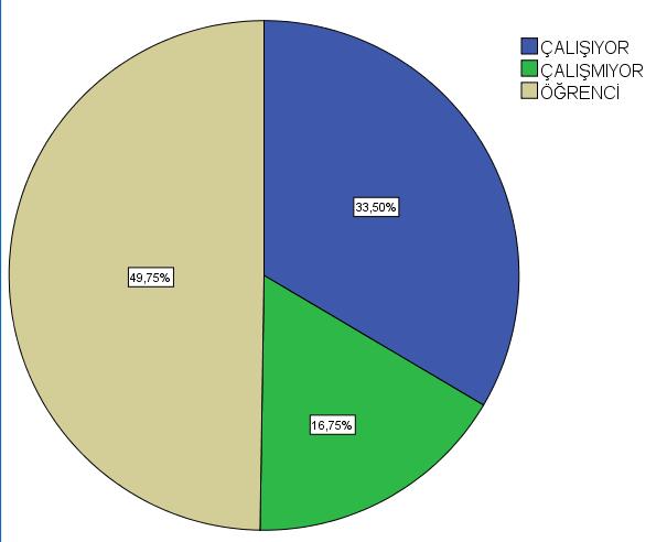 DİYARBAKIR ÇALIŞIYOR 134 33,5 ÇALIŞMIYOR 67 16,8 ÖĞRENCİ 199 49,8 Diyarbakır da bu soruya cevap verenleri 33,5 (134 kişi) i bir işte çalıştıklarını, % 16,8 (67 kişi) i ise bir işte çalışmadıklarını %