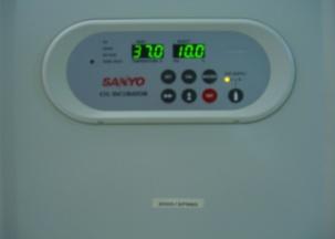 150 µl 37 C 1 saat