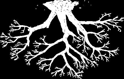 Kataloqların ağacvarı strukturu(ms DOS) Kataloqların Ağacvarı strukturu: Disk C: Sanadlar Lecture_note lablar Neft Kimya Kök
