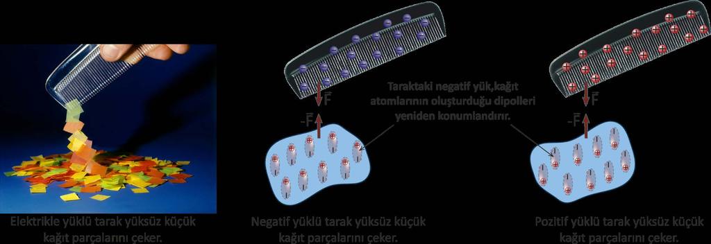 Yüksüz Cisimler Üzerindeki Elektrik Kuvvet Elektrikle yüklü nesne, kağıt moleküllerindeki yüklerin yeniden düzenlenmesinden dolayı yalıtkan cisimde net bir yük dağılımı oluşturur.