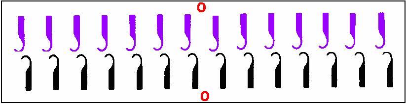 Örgü şekline göre bazı iğnelerin önde bazı iğnelerin sadece arkada çalışması için kullanılır. Transfer pozisyonu Şekil.3: Yarım kayık(iğneler karşılıklı) pozisyon Bu pozisyon transfer pozisyonudur.