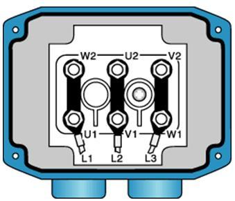 Genelde üretici firmaların ürettiği motor etiketlerinde verilen etiket ifadelerine göre motor