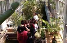 delle classi I, abbiamo visitato il giardino botanico dell Università di Istanbul.