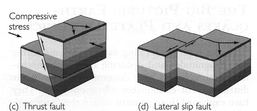 a) deprem öncesi durum; b) çekme kuvvetlerine bağlı normal fay; c) basınç (sıkıştırma) kuvvetlerine bağlı bindirme (ters) fayı; d) kesme kuvvetlerine bağlı yanal