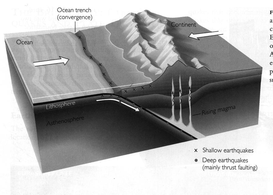 okyanus hendeği (yakınlaşma) Kıta Okyanus Litosfer Astenosfer Yükselen magma sığ depremler derin depremler (çoğunlukla ters faylan ma) Şekil 18.11.