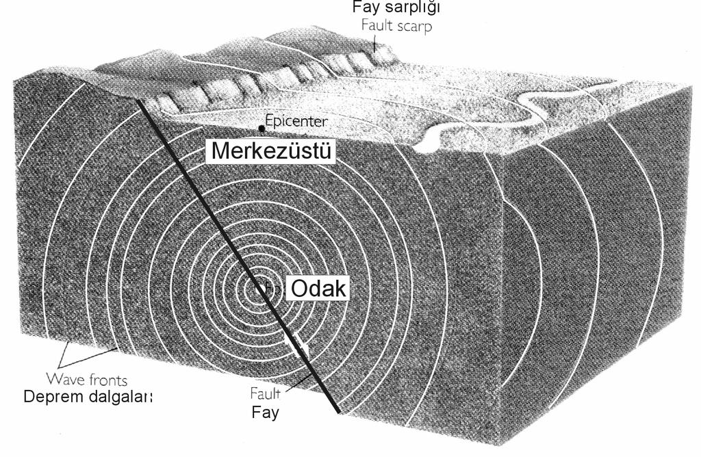 Depremle oluşan veya yeniden hareketlenen kırık, bu anan şokun müddetince yerkabuğu içinde yayılır, ve uzunluğu 1 000 kilometreye kadar ulaşabilir.
