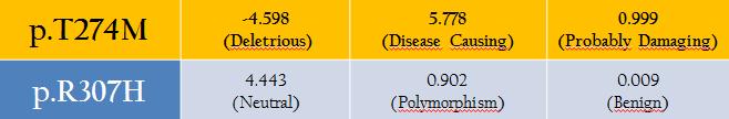 p.t274m ve p.