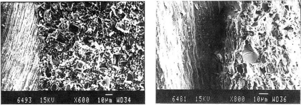 mine/restorasyon bağlanma örneği. Smıf I kavitede mine/restorasyon bağlanma örneği. Kompomer dolgu materyalinin içinde yer yer 10 mm büyüklüğünde doldurucu gözlenmektedir. IBPr UD33 Resim 6.