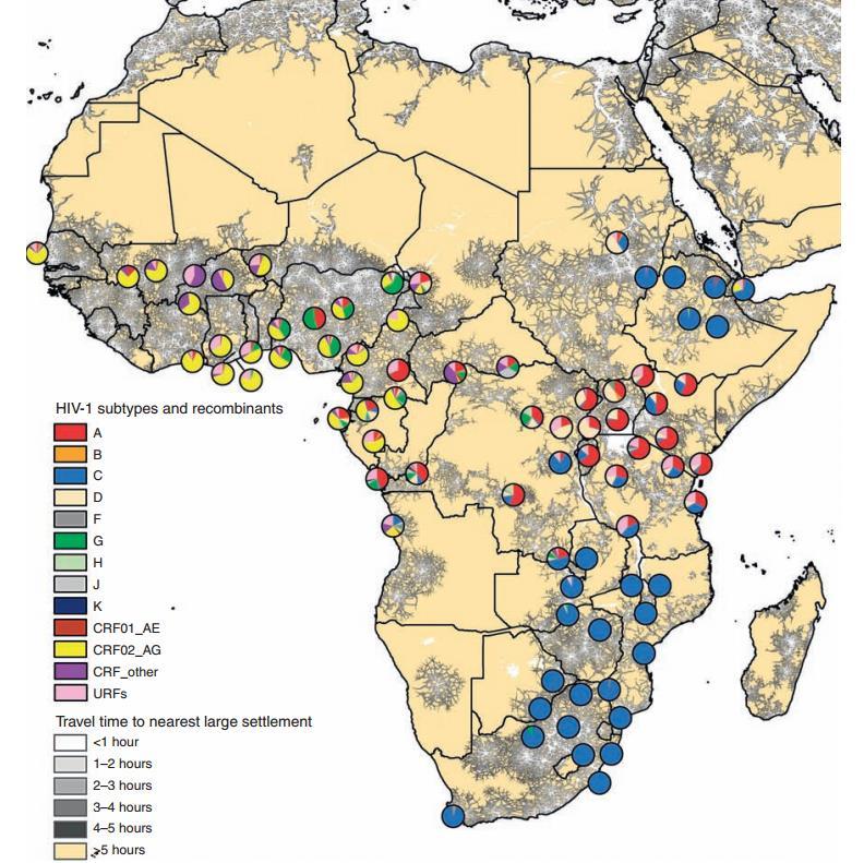 Afrika is a major source for HIV-1 CRF